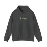 I AM Grounded. I AM Abundant. I AM Unstoppable.