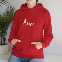 Aries Hoodie